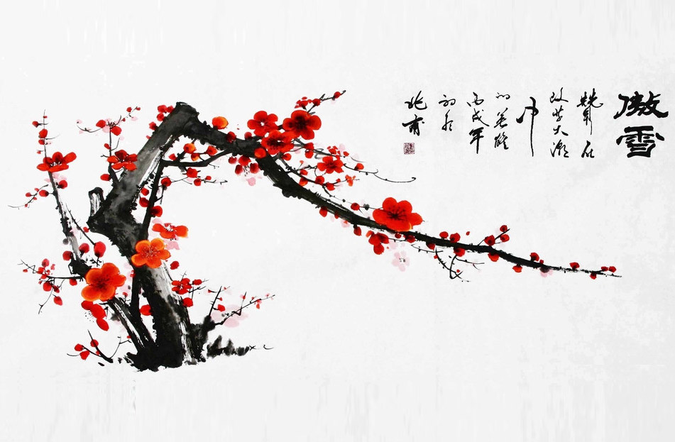相紙